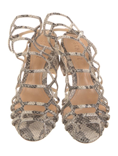 Schutz Snakeskin Animal Print Gladiator Sandals