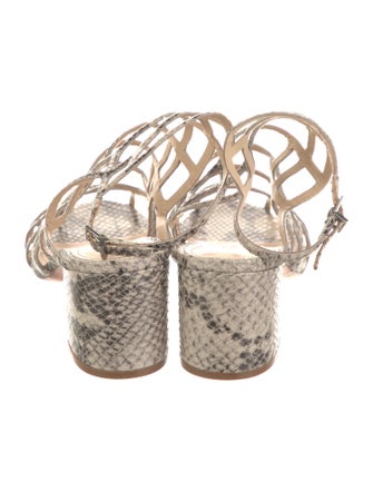 Schutz Snakeskin Animal Print Gladiator Sandals