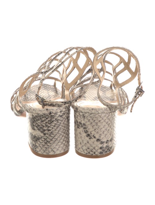 Schutz Snakeskin Animal Print Gladiator Sandals