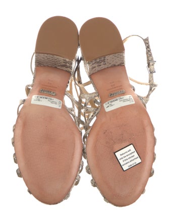 Schutz Snakeskin Animal Print Gladiator Sandals