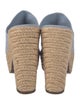 Schutz Suede Espadrilles