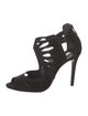 Schutz Suede Sandals