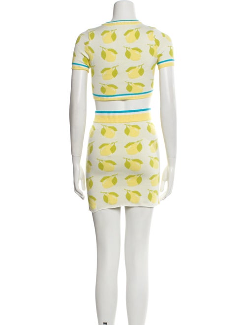 Solid & Striped Printed Skirt Set