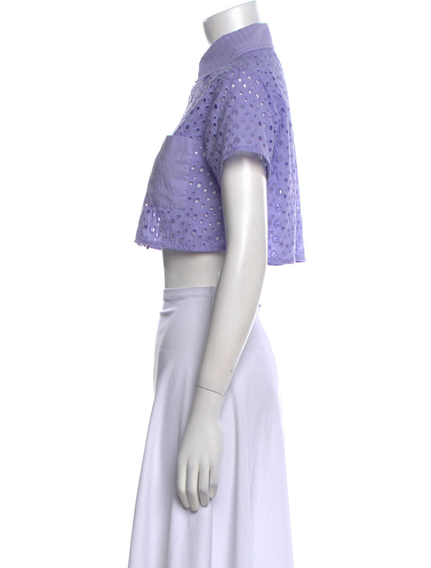 Solid & Striped Lace Pattern Short Sleeve Crop Top