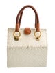 Rodo Wicker Top Handle Bag