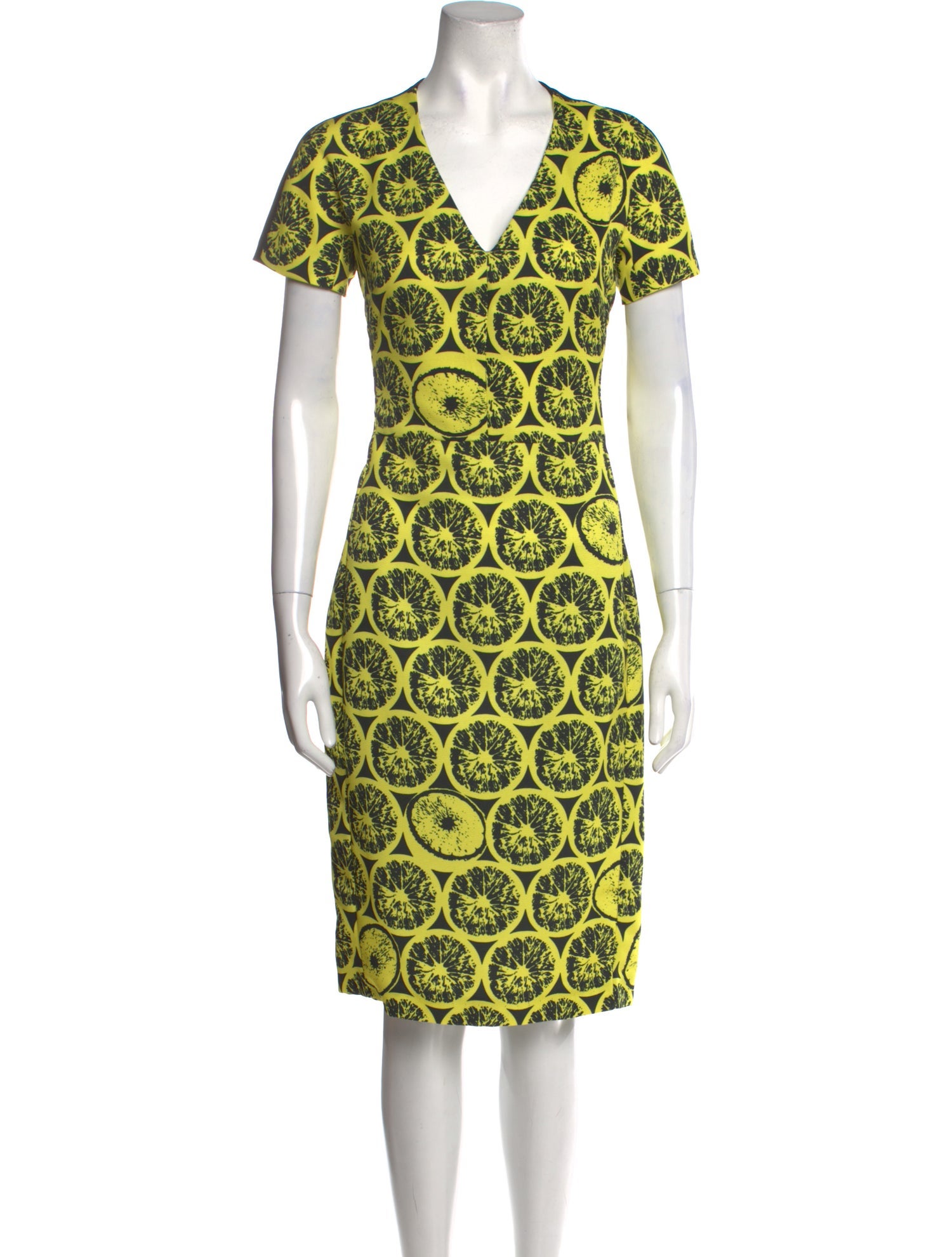 Iceberg Printed Knee-Length Dress w/ Tags