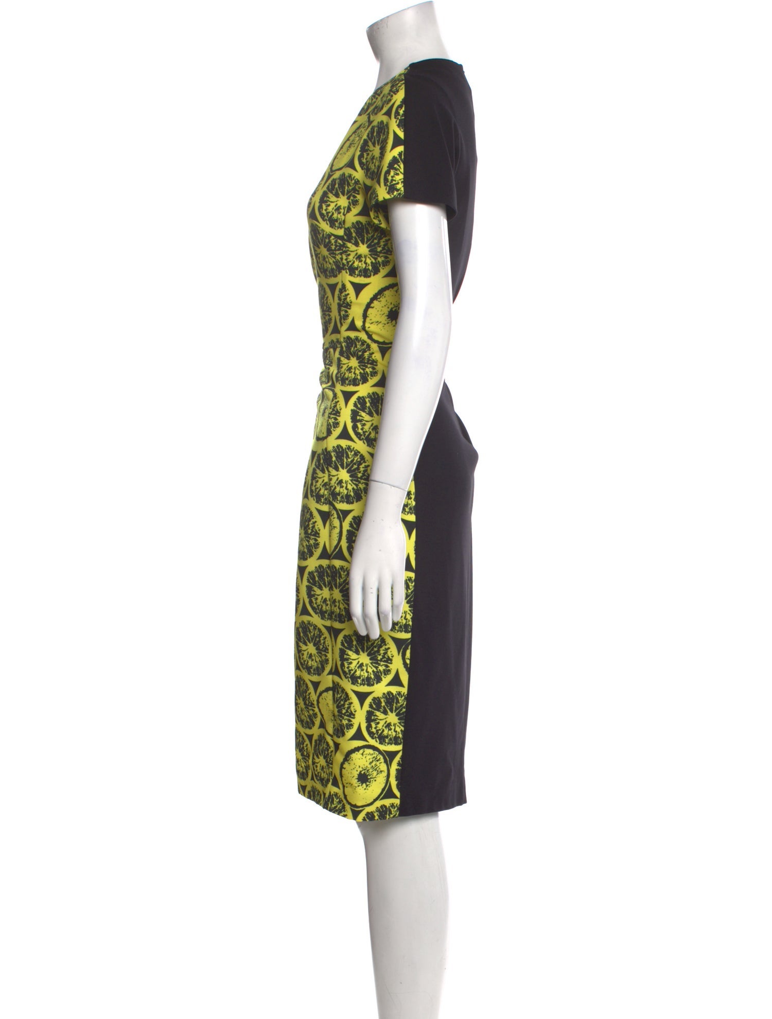 Iceberg Printed Knee-Length Dress w/ Tags
