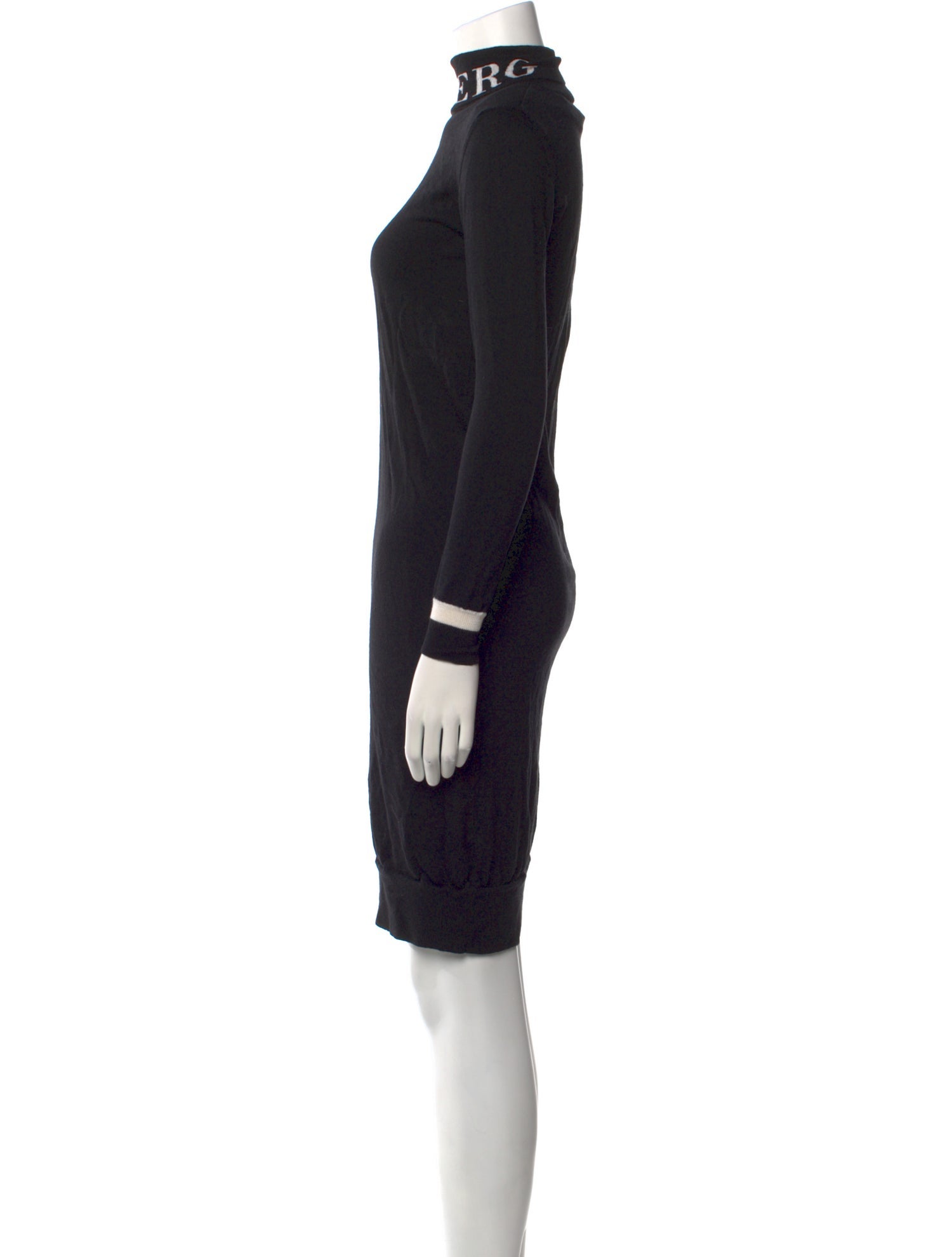 Iceberg Turtleneck Knee-Length Dress
