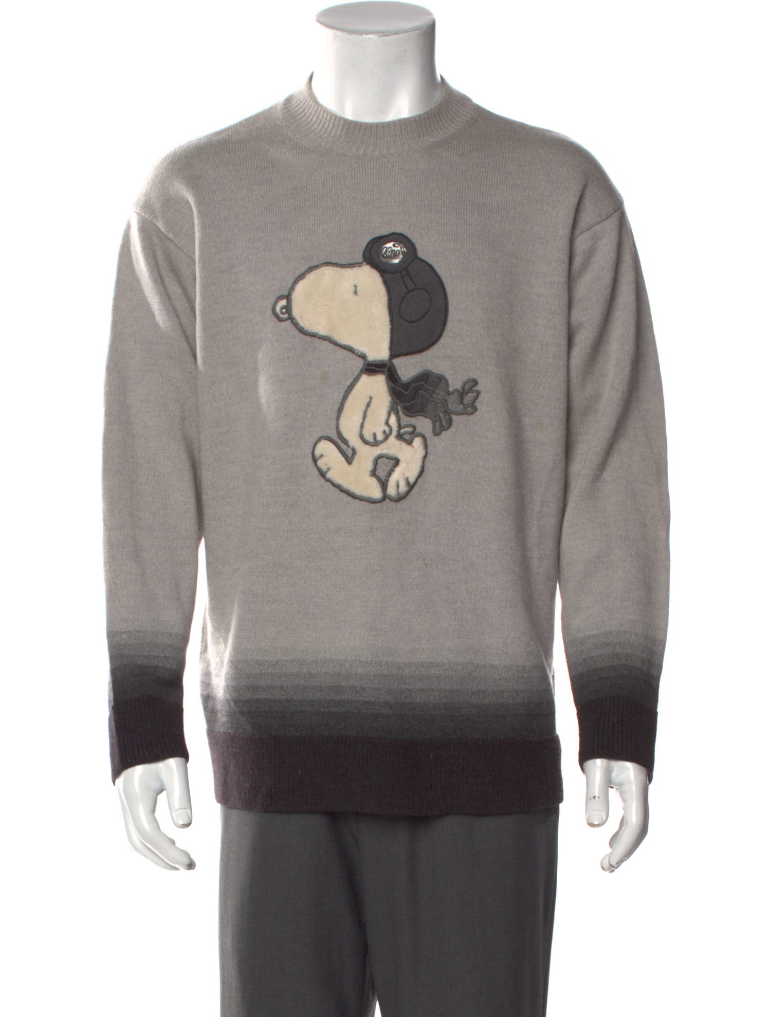 Iceberg Graphic Print Crew Neck Pullover