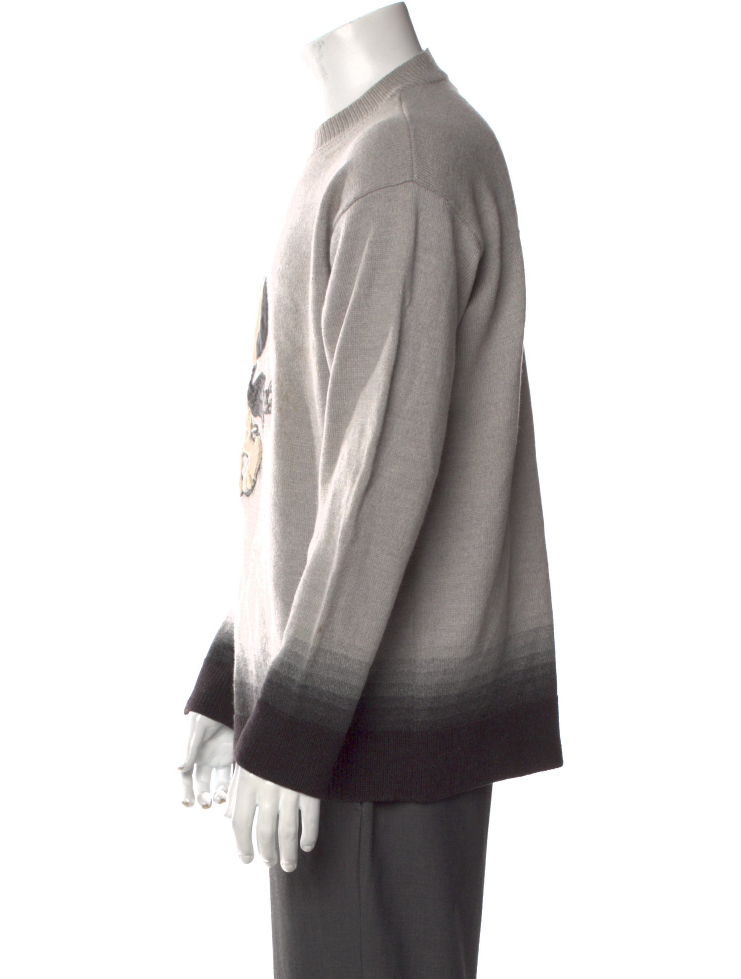 Iceberg Graphic Print Crew Neck Pullover