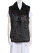 Jocelyn Animal Print Vest
