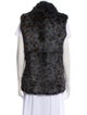 Jocelyn Animal Print Vest