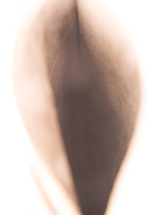 Calleen Cordero Suede Crossbody Bag