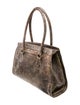 Calleen Cordero Leather Tote