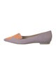 Sophia Webster Suede Printed Ballet Flats