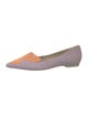 Sophia Webster Suede Printed Ballet Flats