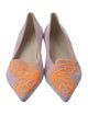 Sophia Webster Suede Printed Ballet Flats