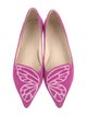 Sophia Webster Suede Embroidered Accent Ballet Flats