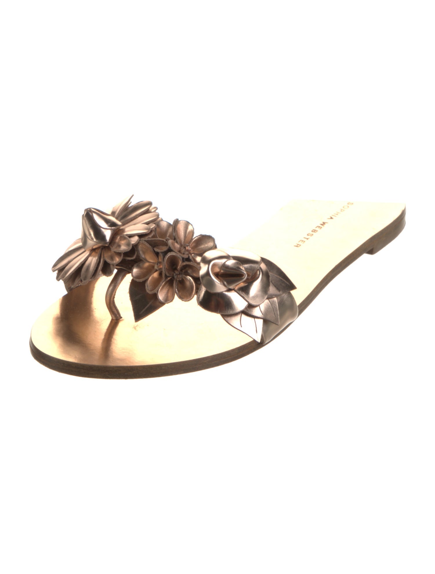 Sophia Webster Metal Slides