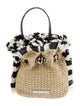 Sophia Webster Raffia Top Handle Bag