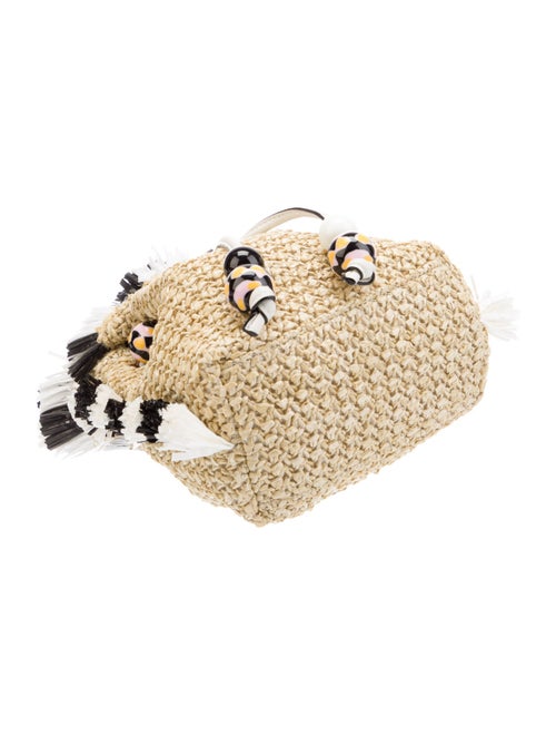 Sophia Webster Raffia Top Handle Bag