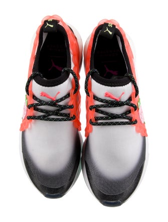 Sophia Webster Printed Sneakers