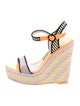 Sophia Webster Suede Striped Espadrilles