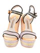 Sophia Webster Suede Striped Espadrilles
