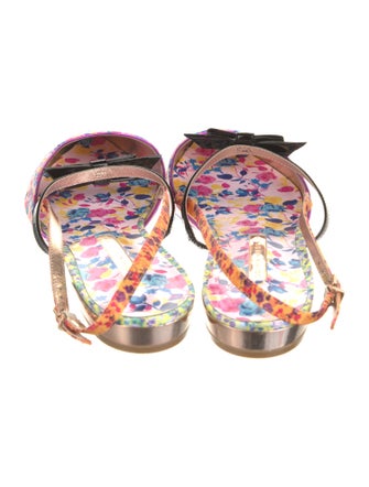 Sophia Webster Floral Print Slingback Flats