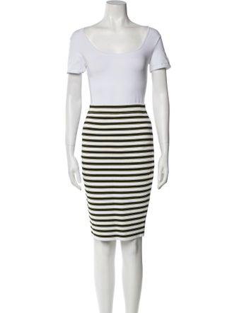 A.L.C. Striped Skirt Set