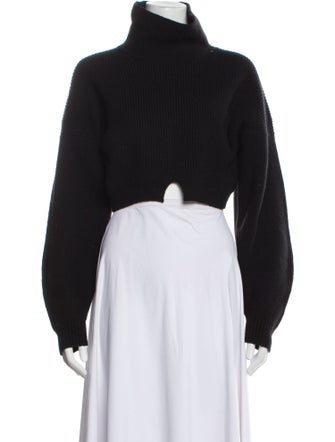 A.L.C. Merino Wool Turtleneck Sweater