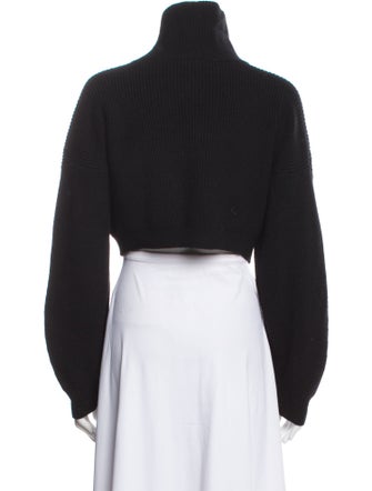 A.L.C. Merino Wool Turtleneck Sweater
