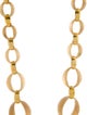 Alexis Bittar Lucite Link Necklace