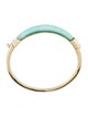 Alexis Bittar Lucite Hinged Bangle