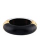 Alexis Bittar Lucite Hinged Bangle