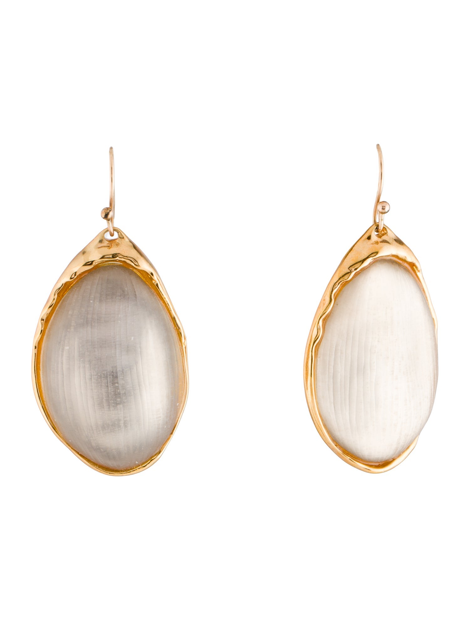 Alexis Bittar Lucite Drop Earrings