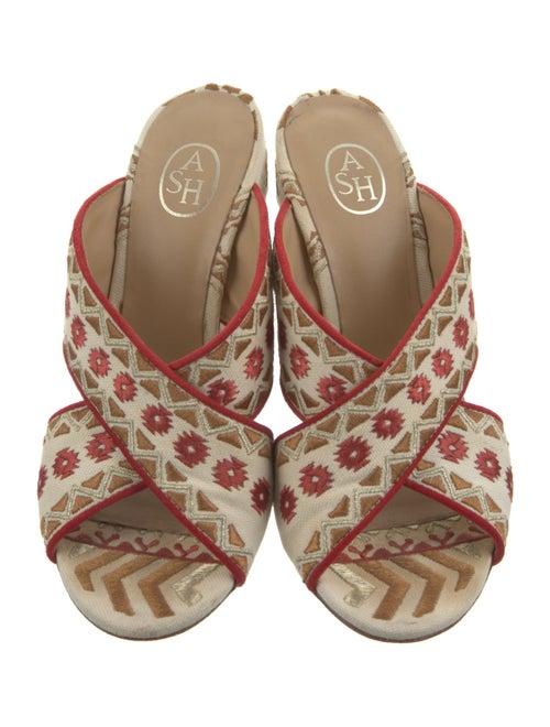 Ash Canvas Printed Slides