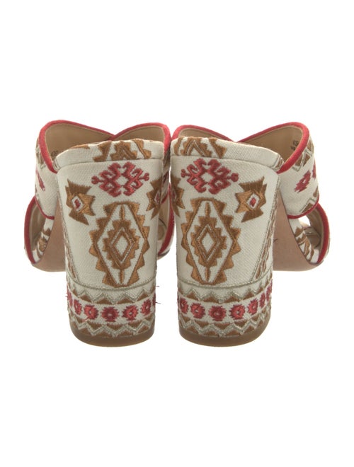 Ash Canvas Printed Slides