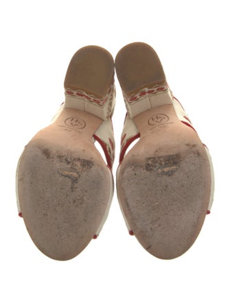 Ash Canvas Printed Slides