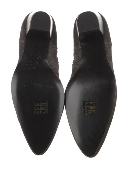 Ash Suede Boots