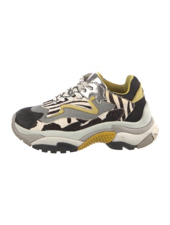 Ash Suede Printed Chunky Sneakers