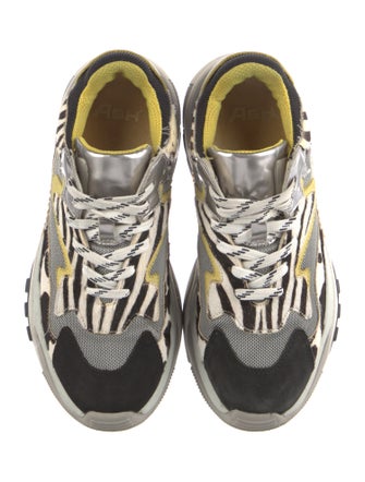Ash Suede Printed Chunky Sneakers