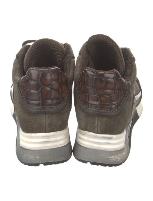 Ash Suede Wedge Sneakers