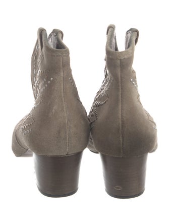 Ash Suede Boots