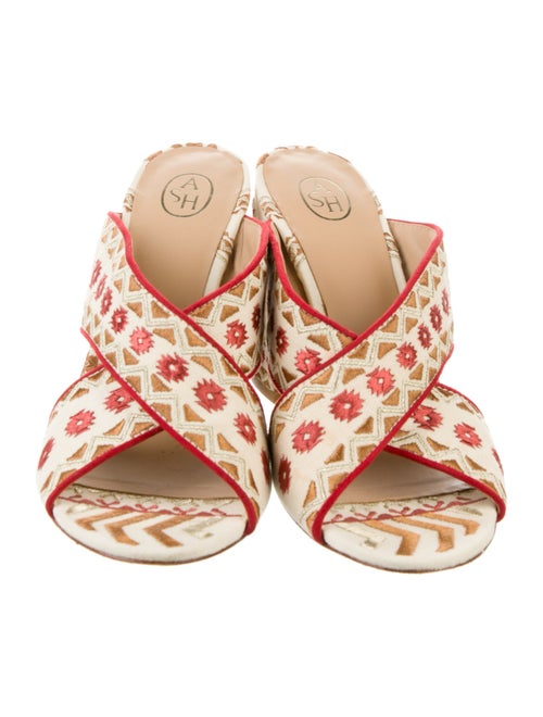 Ash Canvas Printed Slides