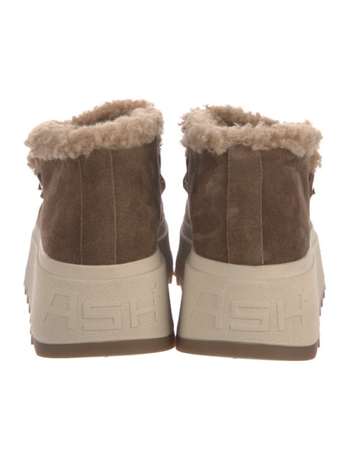 Ash Suede Sneakers