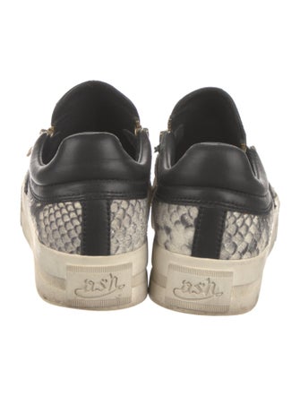 Ash Snakeskin Animal Print Sneakers