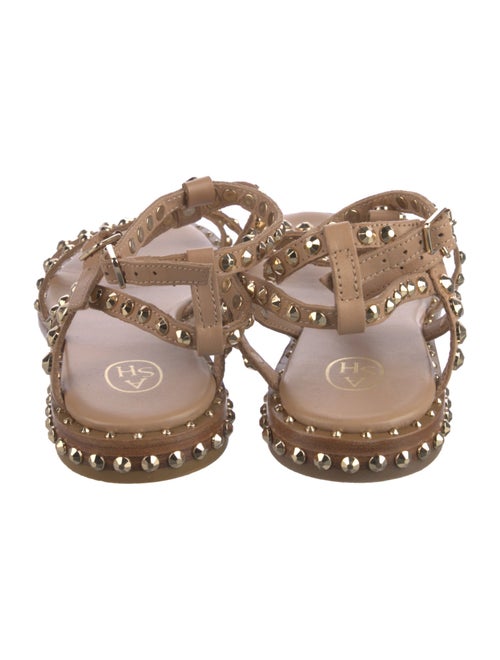 Ash Leather Studded Accents Gladiator Sandals