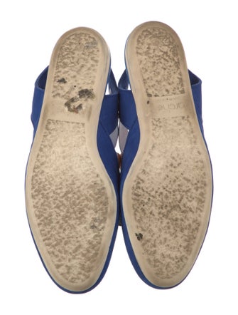 Arche Suede Striped Slingback Flats