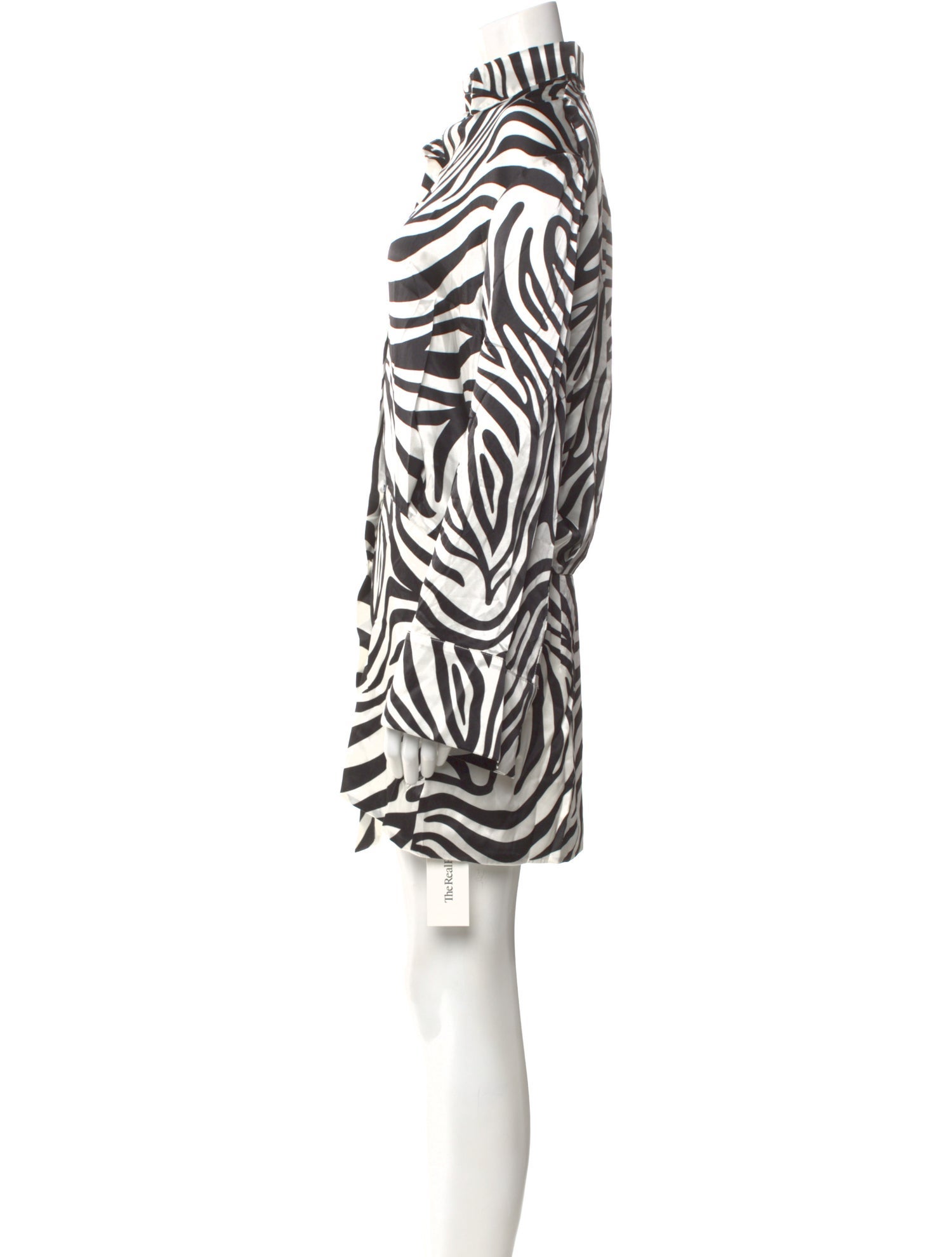 Aexae Silk Mini Dress w/ Tags